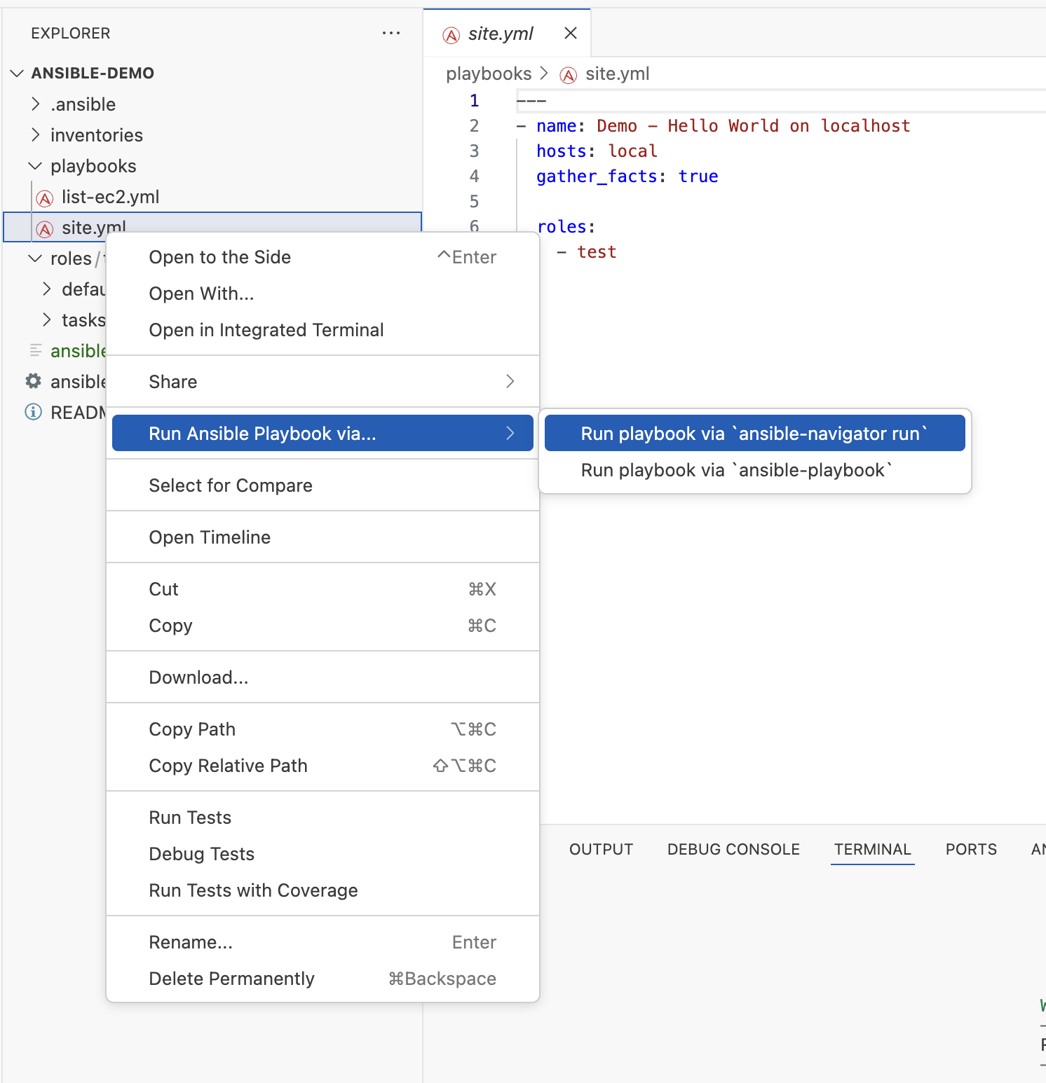 Ansible Development Server