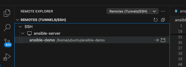 Ansible Development Server with Remote SSH